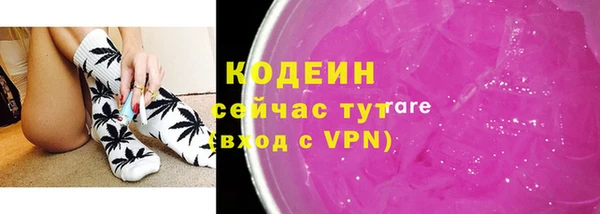 крисы Осинники