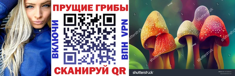 мега tor  купить наркоту  Барабинск  Галлюциногенные грибы MAGIC MUSHROOMS 