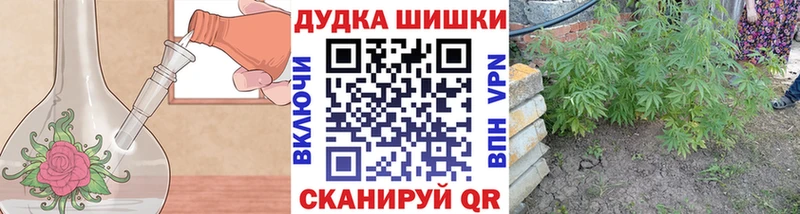 Конопля гибрид Барабинск